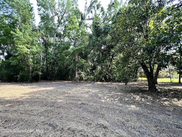 0000 Sandra Ln, Mims, FL 32754 - photo 6