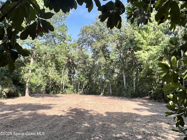 0000 Sandra Ln, Mims, FL 32754 - photo 7