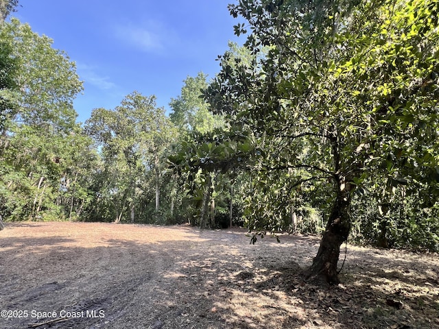 0000 Sandra Ln, Mims, FL 32754 - photo 1