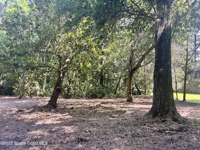 0000 Sandra Ln, Mims, FL 32754 - photo 12