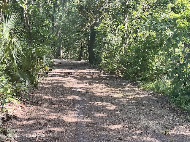 0000 Sandra Ln, Mims, FL 32754 - photo 5