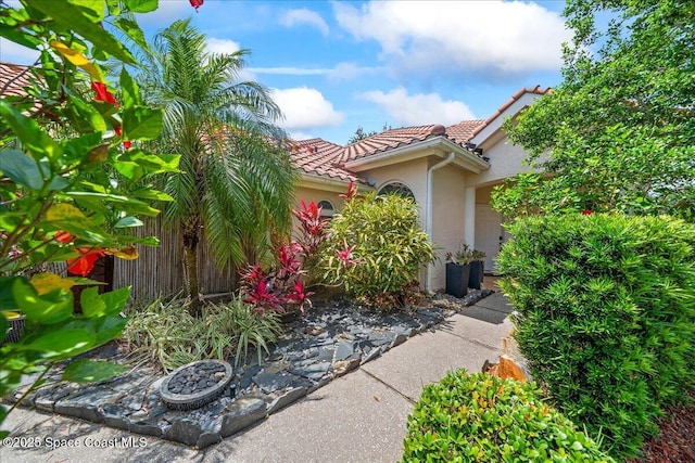 view of exterior entry with stucco siding and a tiled roof
