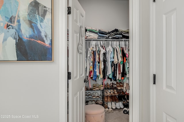 view of closet