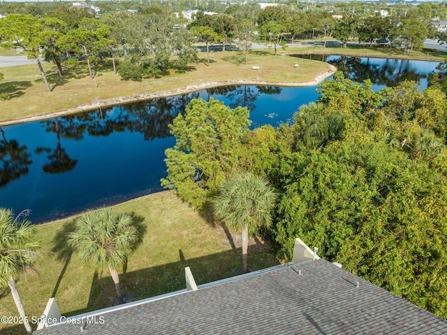 bird's eye view with a water view