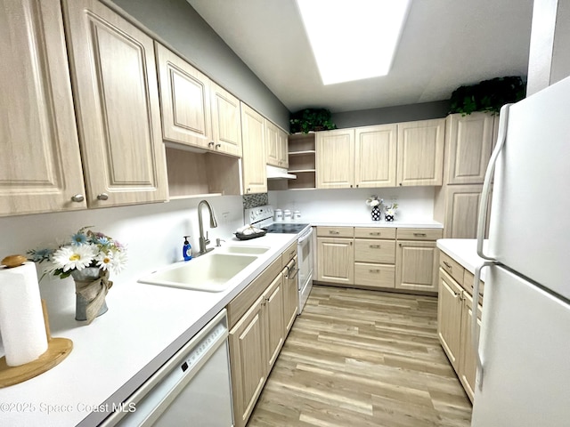 kitchen with white appliances, open shelves, under cabinet range hood, a sink, and light wood-type flooring