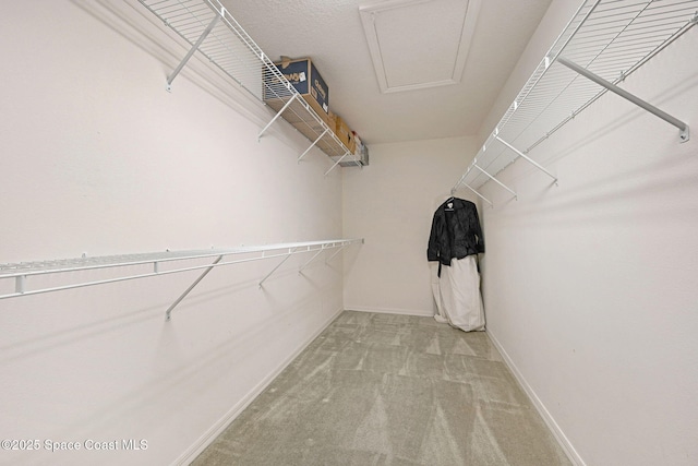 spacious closet with attic access and light carpet