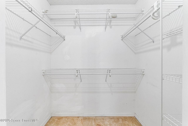 1500 Gardenton St NW Unit 44, Palm Bay, FL 32907 - view of walk in closet