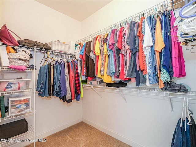 spacious closet featuring carpet floors