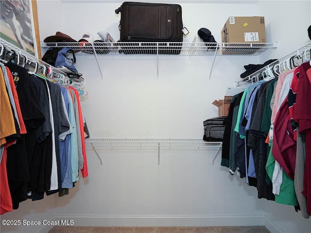 walk in closet with carpet floors
