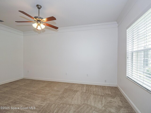 135 Stony Point Dr, Sebastian, FL 32958 - photo 10