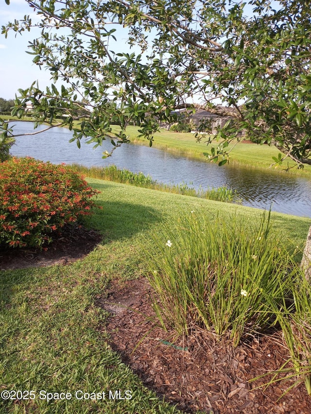 7447 Bluemink Ln, Melbourne, FL 32940 - photo 36