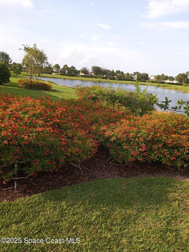 7447 Bluemink Ln, Melbourne, FL 32940 - photo 35