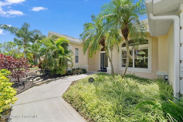 1019 Worthington Spring Dr, Melbourne, FL 32940 - view of exterior entry featuring stucco siding