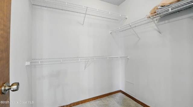 2615 Slash Pine Ct, Titusville, FL 32780 - spacious closet featuring carpet floors