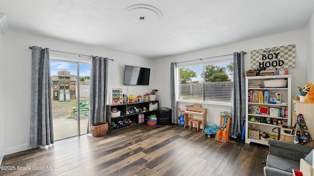 playroom featuring wood finished floors and a wealth of natural light