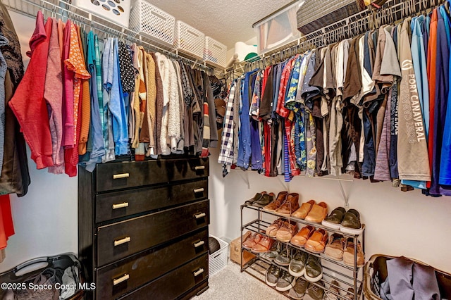 view of spacious closet