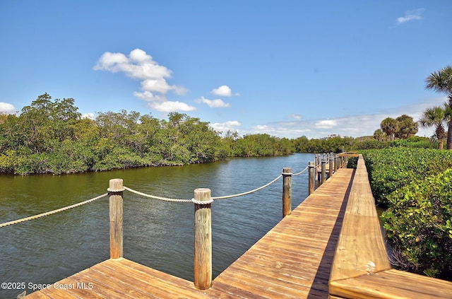 dock area with a water view
