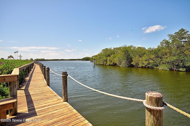 dock featuring a water view