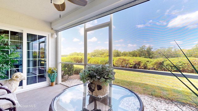 sunroom / solarium with carpet floors