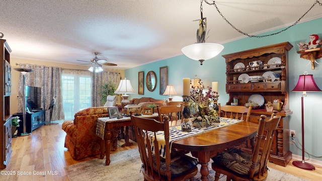 dining area featuring light wood-style flooring, crown molding, ceiling fan, and a textured ceiling