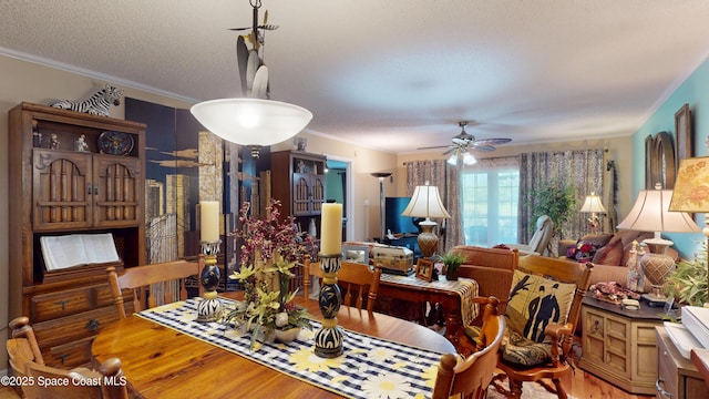 dining area with wood finished floors, crown molding, ceiling fan, and a textured ceiling