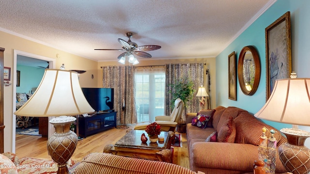 living area with ceiling fan, wood finished floors, crown molding, and a textured ceiling
