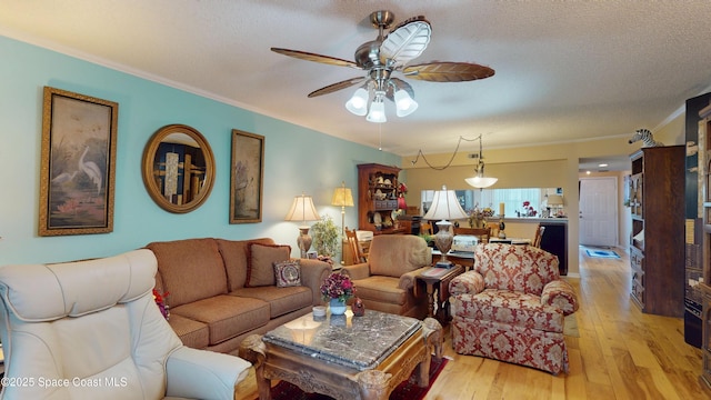 living area featuring ceiling fan, ornamental molding, light wood-style floors, and a textured ceiling