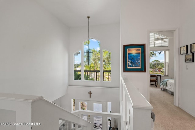 1495 Newfound Harbor Dr, Merritt Island, FL 32952 - staircase with baseboards, carpet, and a towering ceiling