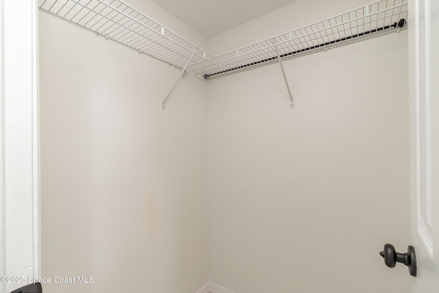 53 Piney Branch Way Unit D, West Melbourne, FL 32904 - view of walk in closet