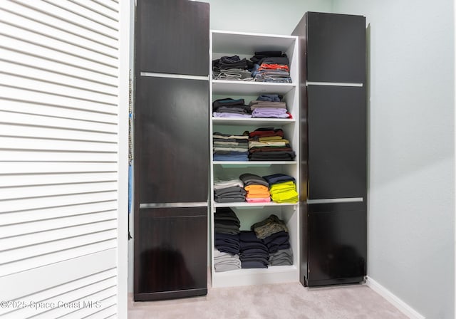 view of closet