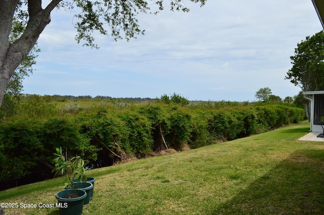 4351 Timothy Dr, Merritt Island, FL 32953 - view of yard