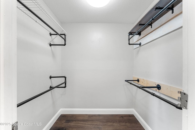 walk in closet with dark wood finished floors