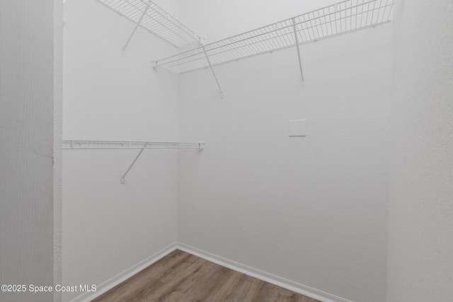 spacious closet featuring wood finished floors