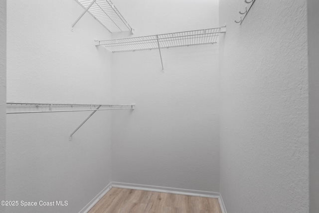 spacious closet with light wood-type flooring