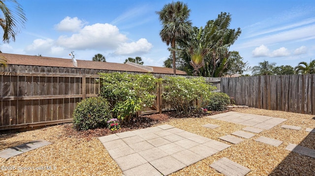 view of yard with a patio and a fenced backyard