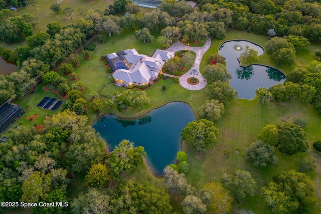 bird's eye view with a water view