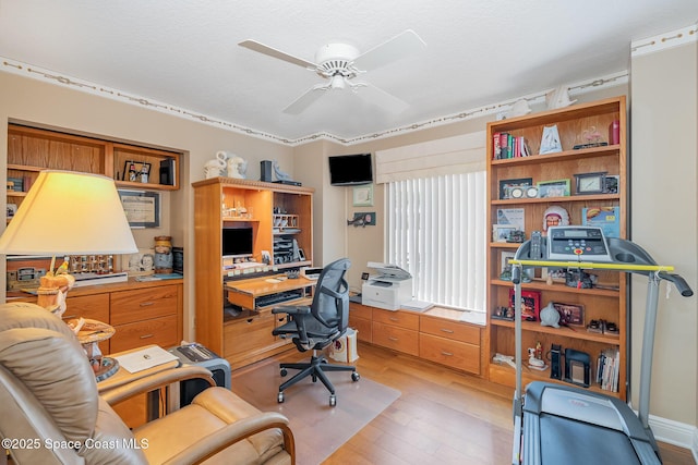 office with a ceiling fan and light wood finished floors
