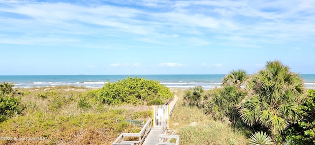 water view with a beach view