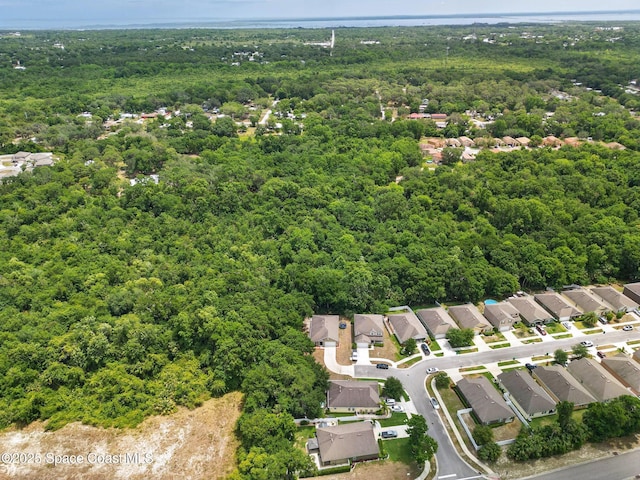 2685 Falcon Ln, Mims, FL 32754 - photo 30