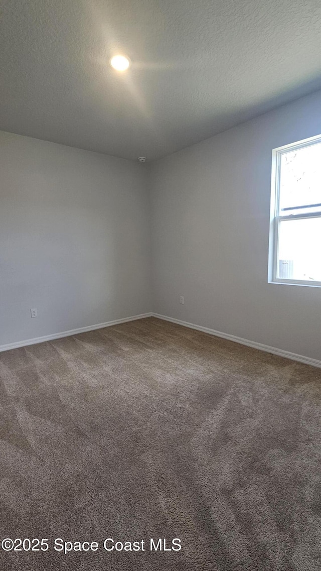 empty room with baseboards, carpet, and a textured ceiling