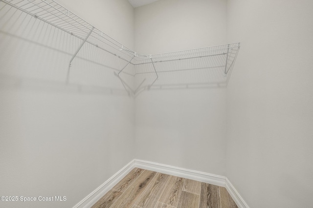 walk in closet featuring light wood-style flooring