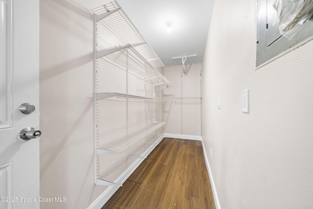 spacious closet featuring wood finished floors