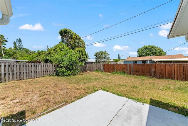 view of yard featuring a fenced backyard and a patio area