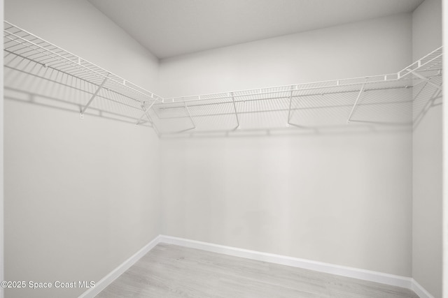 spacious closet featuring wood finished floors