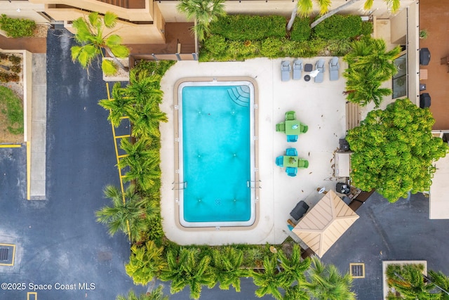 bird's eye view of a pool area