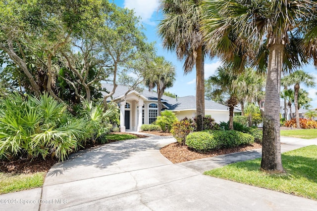 view of front of property featuring stucco siding and concrete driveway