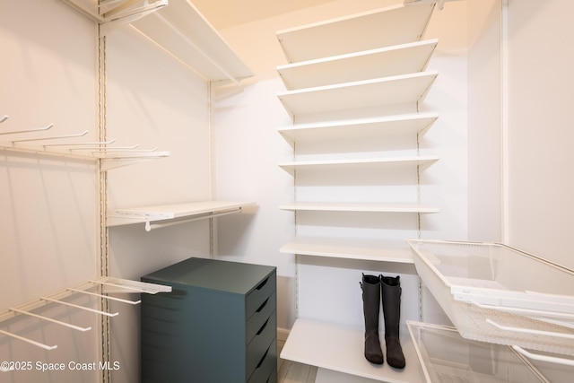 3564 Muirfield Dr Unit 4, Titusville, FL 32780 - view of walk in closet