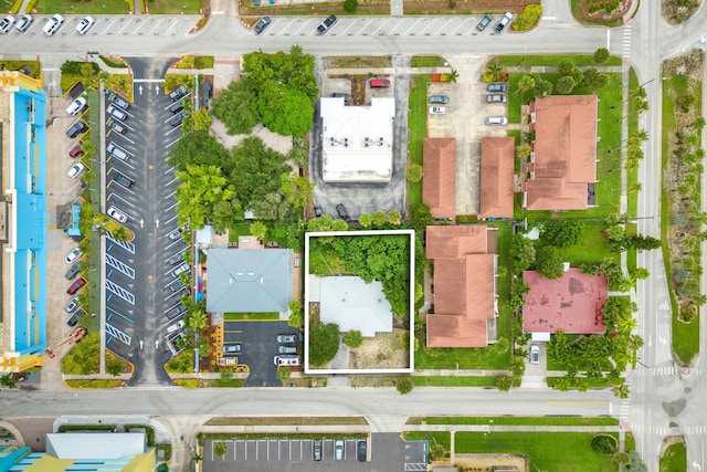drone / aerial view