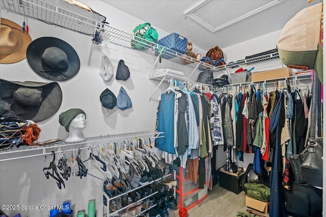 512 Palmetto Dr, Melbourne, FL 32935 - walk in closet featuring attic access