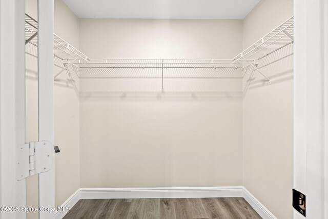 1050 Olde Bailey Ln, Melbourne, FL 32904 - walk in closet with wood finished floors